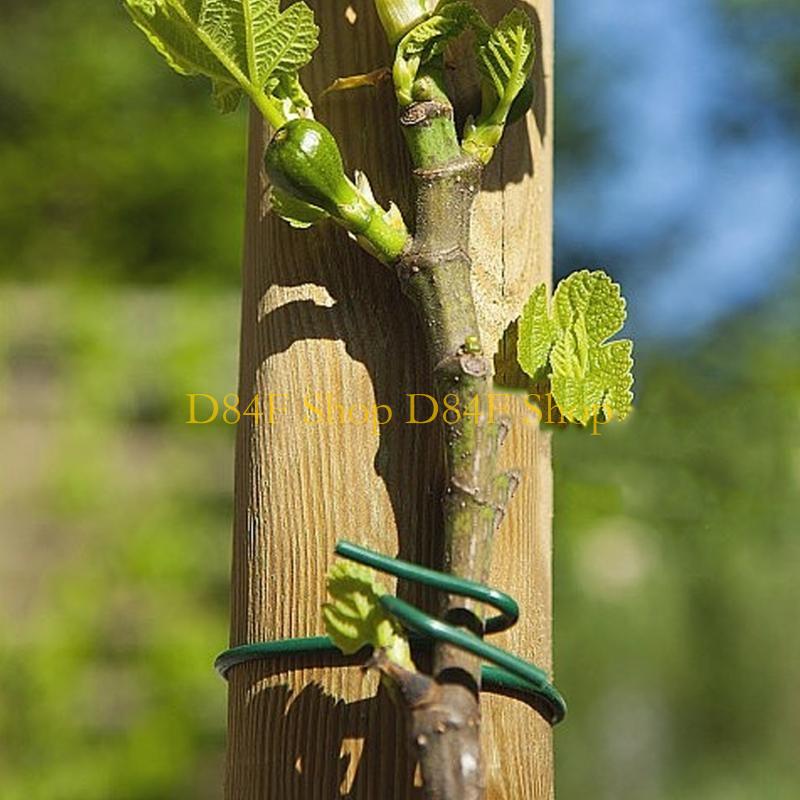 Garden Wire Twist Tie - D84F 2.5Mm X 10M Hijau Lembut
