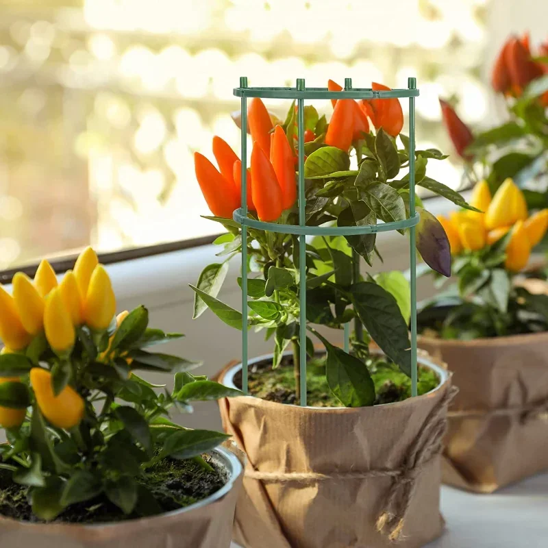 Penopang tanaman plastik tiang - Gardening Tools Range ulasan dan harga