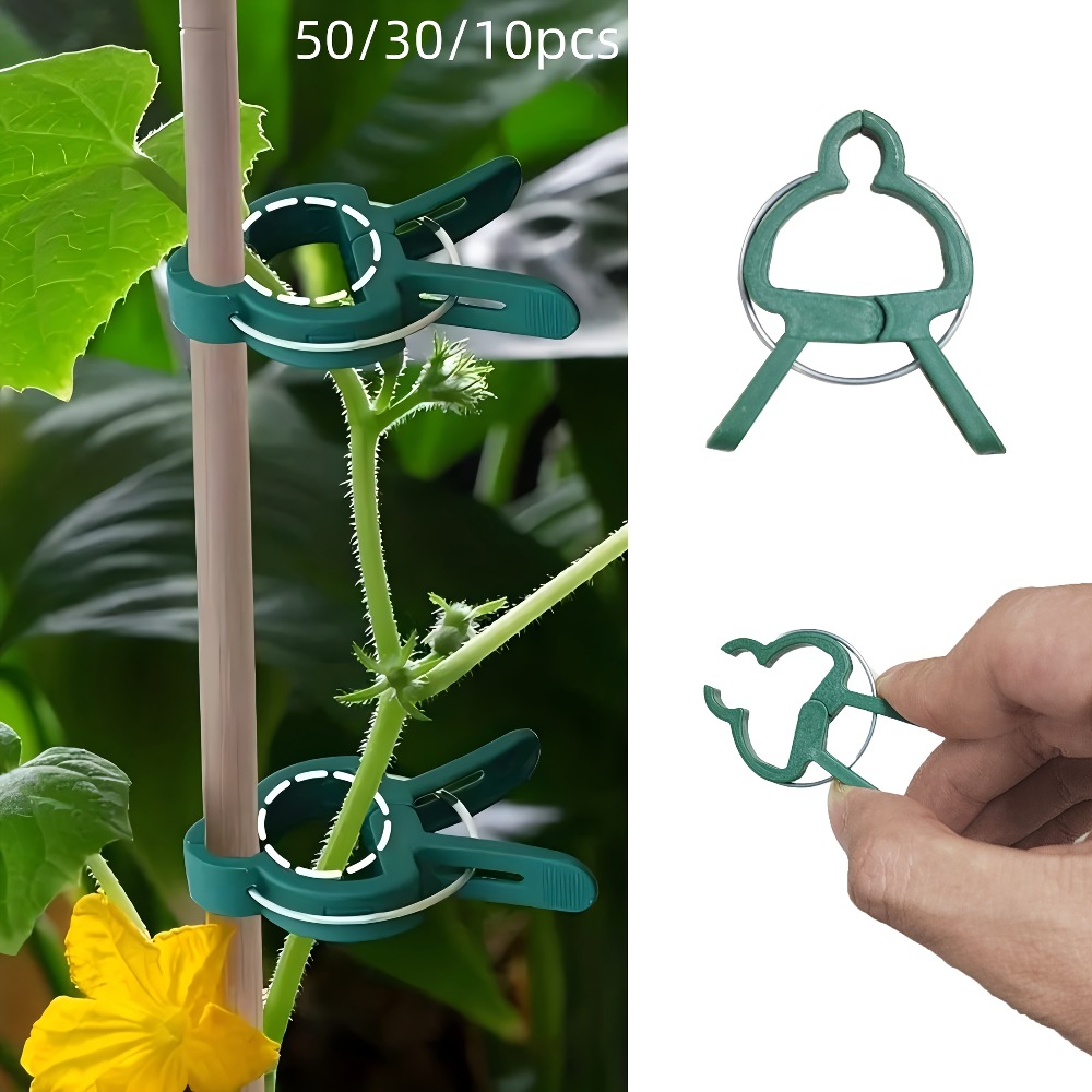 10/30/50 Buah Klip Tanaman Yan - Gardening Tools Essential ulasan dan harga